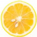 Lemon T's logo